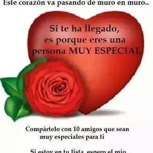 Meet your Posher, Irma